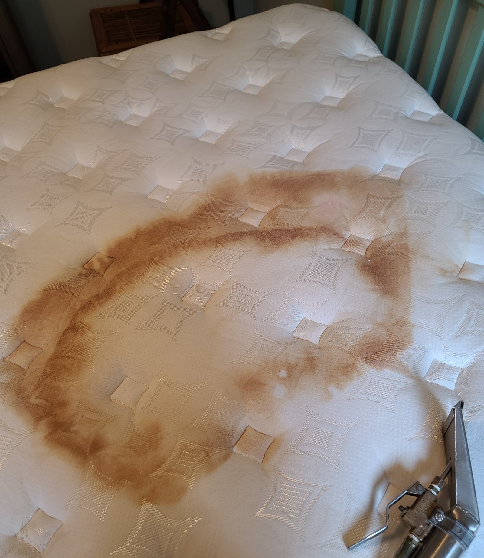 Mattress before stain treatment