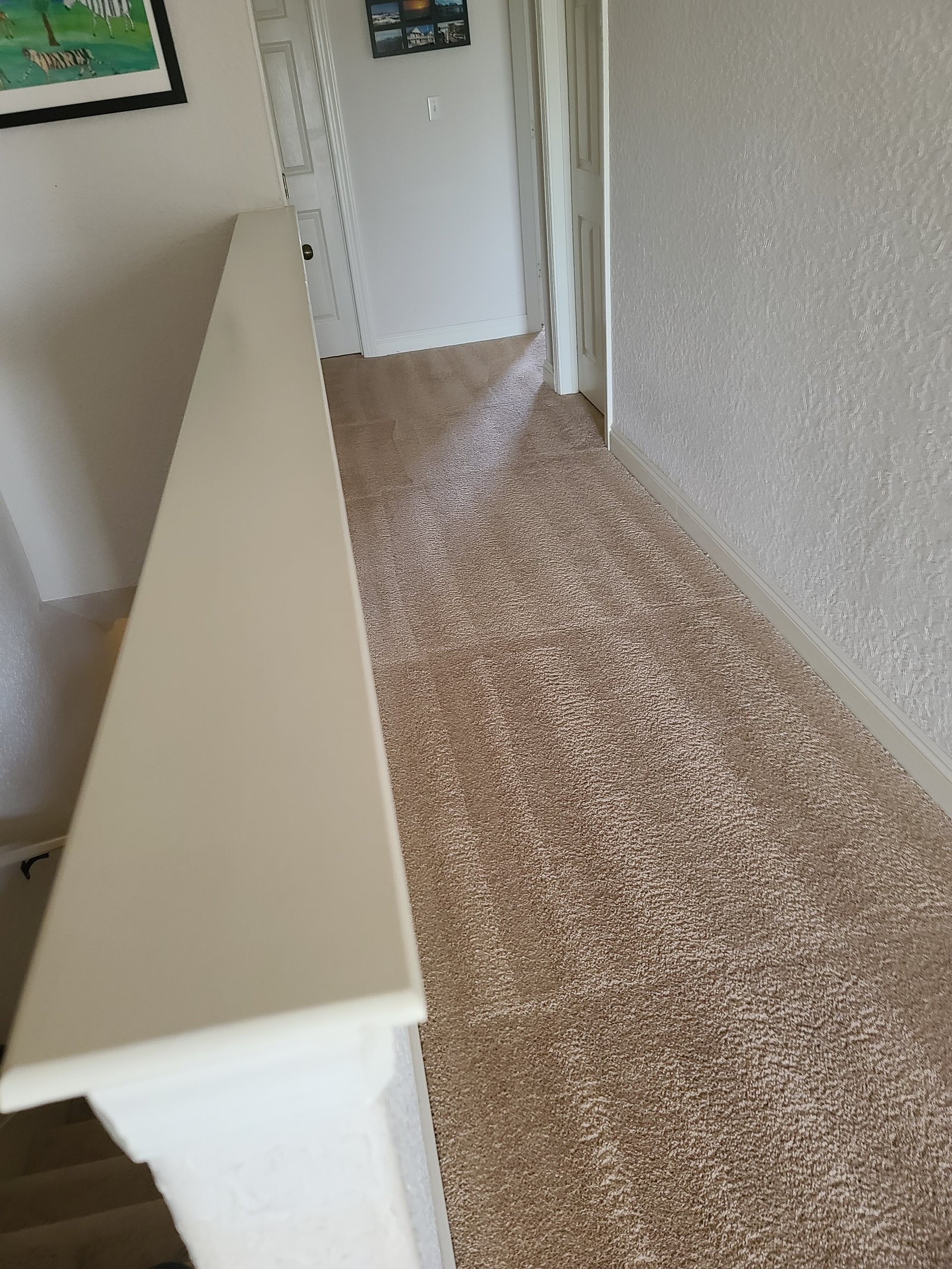 Carpet cleaning result